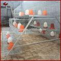 Garantía de Comercio Anping Baiyi Suministro de Fábrica Aves de Pollo Criador Jaula